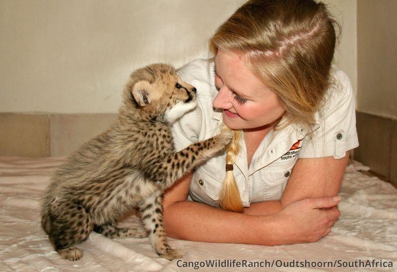 Illustration for article titled ZOMG CONSOLIDATED CUTENESS OF THE BABY ANIMALS!!!